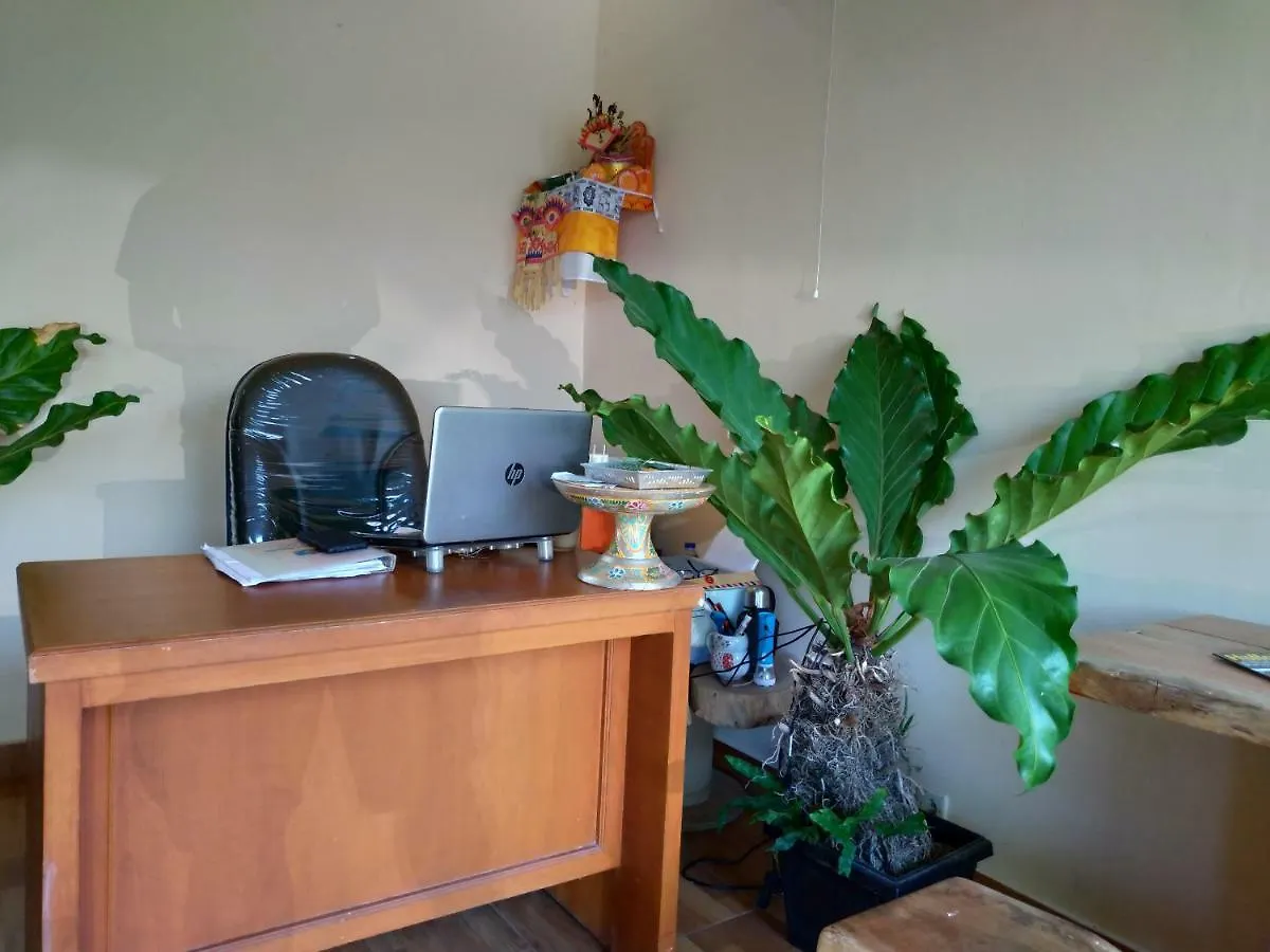 Beji Ayu Homestay Seminyak  Indonesia